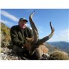 Image 2 : 12-DAY FANTASTIC 4 SPANISH IBEX HUNT FOR 1 HUNTER & 1 NON-HUNTER