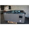 Image 1 : CAL SPAS PLATINUM SERIES HOT TUB WITH GALAXY INTERIOR AND 8' SMOKE GREY CABINET, C/W: