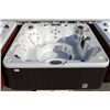 Image 2 : CAL SPAS CONNECT SELECT SERIES HOT TUB WITH OYSTER INTERIOR AND 8' WALNUT CABINET. C/W: