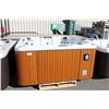Image 1 : CAL SPAS CONNECT SERIES HOT TUB WITH SNOW WHITE INTERIOR AND 7' TEAK CABINET.  C/W: