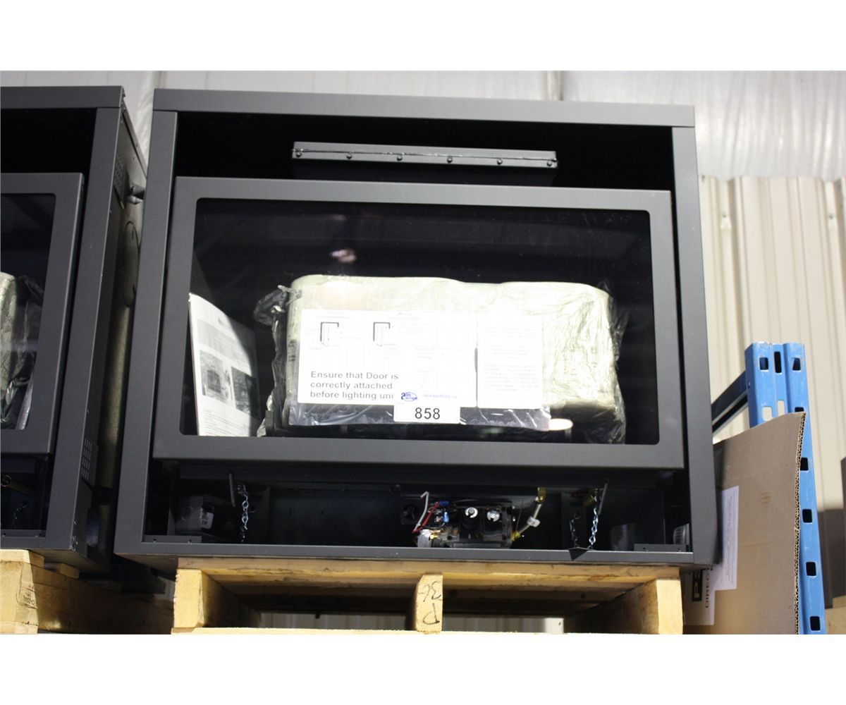 REGENCY P36NG4 PANORAMA DIRECT VENT NATURAL GAS FIREPLACE WITH REMOTE