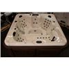 Image 2 : CAL SPAS AMERICAN SERIES HOT TUB WITH IVORY INTERIOR AND 7.5' CAL CUSTOM CABINET. C/W: