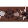 Image 3 : Northern Plains Arrowhead Collection