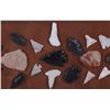 Image 4 : Northern Plains Arrowhead Collection