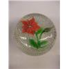 Image 1 : GLASS PAPERWEIGHT