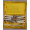Image 1 : SET OF TWELVE DINNER KNIVES
