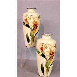 PAIR OF CLOISONNE VASES