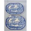 Image 1 : TWO STAFFORDSHIRE PLATTERS