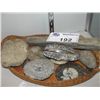 Image 1 : BASKET OF ASSORTED GEOLOGICAL ROCKHOUND COLLECTORS FOSSILS