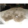 Image 1 : 100% AUSTRALIAN AND NEW ZEALAND SHEEP SKIN RUG
