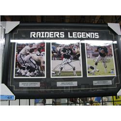 Framed Raiders Legends