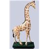 Image 1 : GIRAFFE