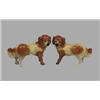 Image 1 : PAIR OF STAFFORDSHIRE STANDING PEKINESE DOGS