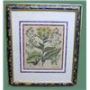 Image 1 : SIX HANDCOLORED BOTANICAL PRINTS