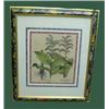 Image 3 : SIX HANDCOLORED BOTANICAL PRINTS