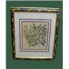 Image 4 : SIX HANDCOLORED BOTANICAL PRINTS