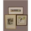Image 1 : THREE FRAMED ITEMS