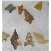 Image 4 : Collection of 50+ Arrow Heads & Stunners