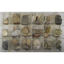 Collection of Fossils & Beads