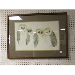 SIGNED #'ED OWL PRINT 11/1000 BY DUCOTE