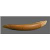 Image 5 : Large Animal Claw.