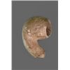 Image 7 : Calusa Pipe Fragment Artifact, Native American Indian.