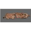 Image 8 : Early 19th Century Pair of Chinese Polychromed Camphor