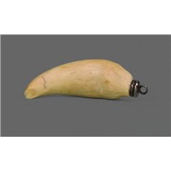 Rare American Civil War 5th Regiment Alligator Tooth