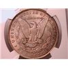 Image 2 : 1900-O Morgan Dollar Ch MS64 NGC