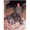 Image 1 : Rio Turkey and Black Bear Combo in Oregon