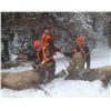 Image 2 : Hunter’s Choice Elk Hunt in Montana