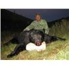 Image 2 : Alberta Black Bear Hunt