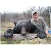 Image 3 : Alberta Black Bear Hunt
