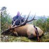 Image 1 : BRITISH COLUMBIA ELK AND WOLF COMBO