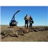 Image 7 : Helicopter Hog Hunting