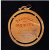 Image 2 : 1951 French Medal of Merit