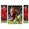 Image 1 : Liverpool Match-Worn Lot of 3 Jerseys Signed -- Gerrard, Leiva & Suarez
