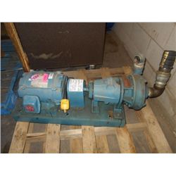 AP AURORA PUMP (print sequence:) 55623