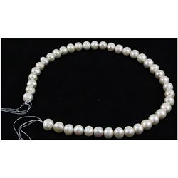 283.16ct Ivory White Freshwater Pearl Necklace, 16in