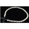 283.16ct Ivory White Freshwater Pearl Necklace, 16in