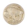 Image 2 : 1921-S BUFFALO NICKEL VG+