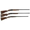 Image 1 : Three Double Barrel Hammerless Shotguns -A) J. Saive 10 Gauge Shotgun
