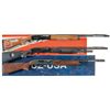 Image 1 : Three Semi-Automatic Shotguns -A) Benelli Sport Model Shotgun with Box
