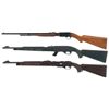 Image 2 : Three 22 Caliber Rifles -A) Fabrique Nationale "Trombone" Slide Action Rifle