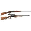 Image 1 : Collector's Lot of Two Savage Model 1899 Lever Action Rifles with Factory Letters -A) Savage Model 1