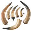 Image 1 : Seven Powder Horns