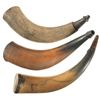 Image 1 : Three Large Powder Horns