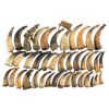 Image 1 : Large Grouping of Powder Horns