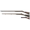 Image 2 : Two Shotguns and One Blunderbuss -A) "W. Hatch" Single Barrel Percussion Fowler