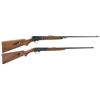 Image 1 : Two Semi-Automatic Rifles -A) Winchester Model 63 Rifle